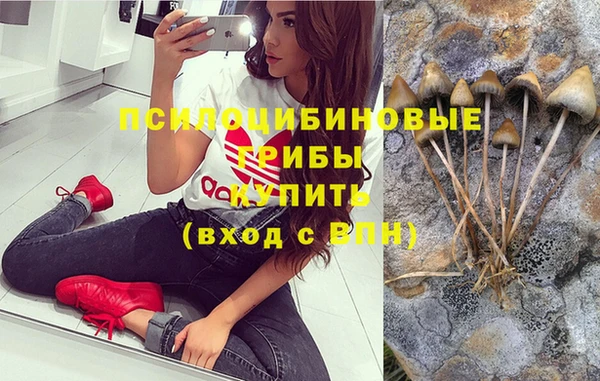 2c-b Арсеньев