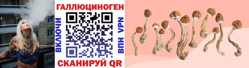 что такое наркотик  Нефтекумск  МЕГА онион  Псилоцибиновые грибы Psilocybine cubensis 